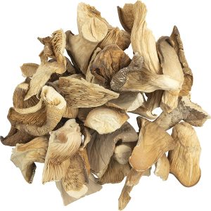 Dry Oyster Mushroom